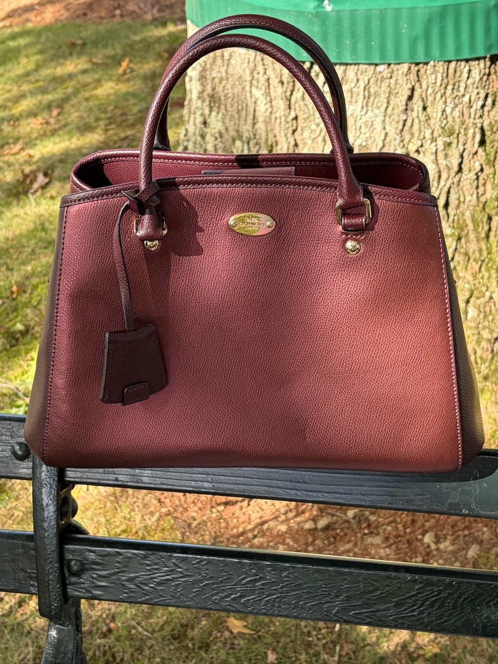 Coach 2 Tone Bag - Metallic Cherry & Oxblood